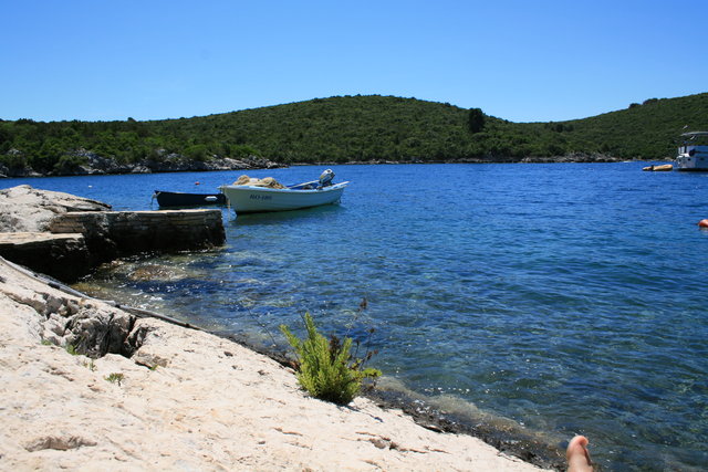 gal/cro 08/small-IMG_5235.JPG